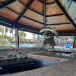 pool bar Palm photo 1